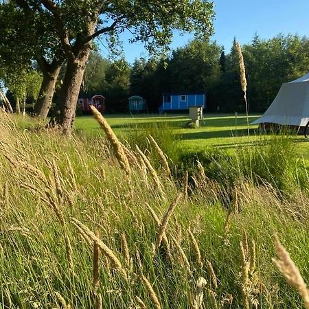 Pipowagens Bij Pannenkoekenrestaurant & Camping De Koppenjan 'Een Uniek Verblijf Met Kinderspeelboerderij' Jubbega-Schurega ภายนอก รูปภาพ