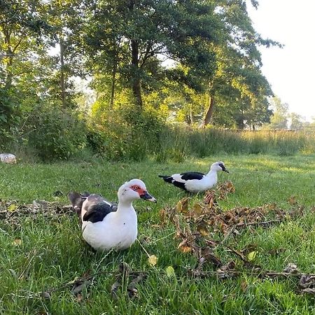 Pipowagens Bij Pannenkoekenrestaurant & Camping De Koppenjan 'Een Uniek Verblijf Met Kinderspeelboerderij' Jubbega-Schurega ภายนอก รูปภาพ