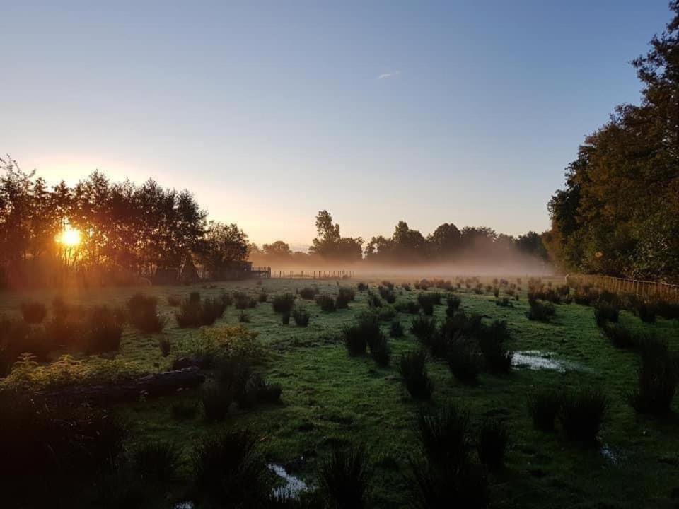 Pipowagens Bij Pannenkoekenrestaurant & Camping De Koppenjan 'Een Uniek Verblijf Met Kinderspeelboerderij' Jubbega-Schurega ภายนอก รูปภาพ