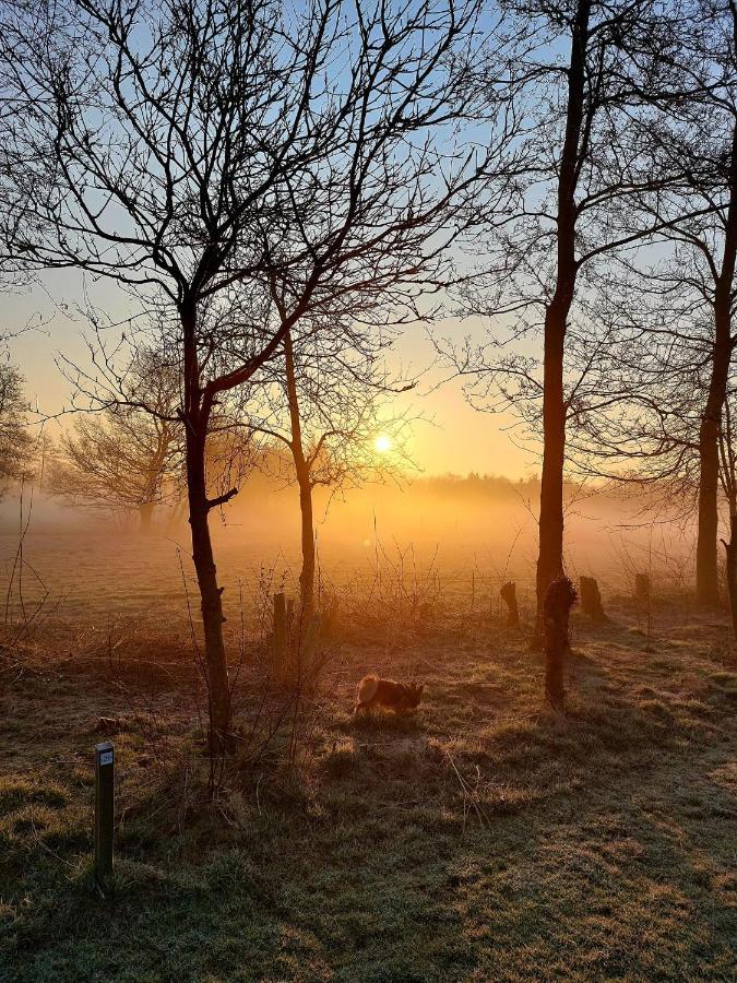 Pipowagens Bij Pannenkoekenrestaurant & Camping De Koppenjan 'Een Uniek Verblijf Met Kinderspeelboerderij' Jubbega-Schurega ภายนอก รูปภาพ