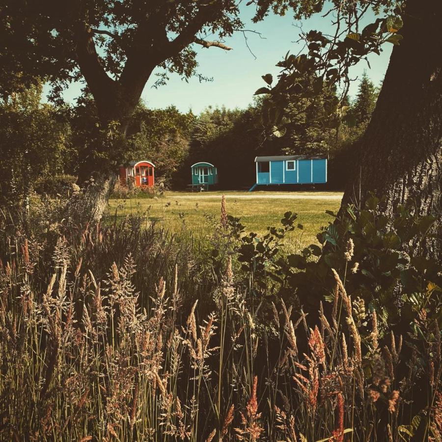 Pipowagens Bij Pannenkoekenrestaurant & Camping De Koppenjan 'Een Uniek Verblijf Met Kinderspeelboerderij' Jubbega-Schurega ภายนอก รูปภาพ