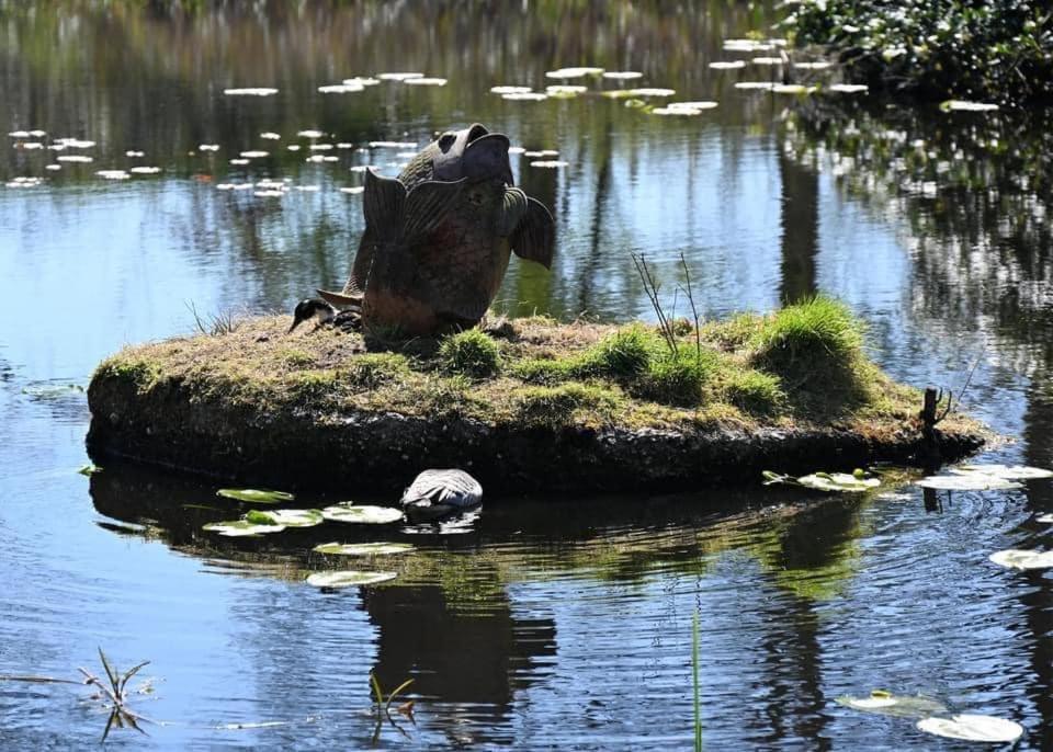 Pipowagens Bij Pannenkoekenrestaurant & Camping De Koppenjan 'Een Uniek Verblijf Met Kinderspeelboerderij' Jubbega-Schurega ภายนอก รูปภาพ